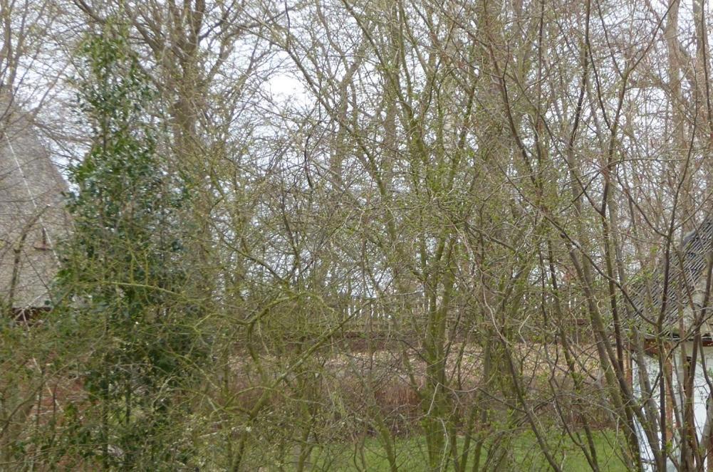 Freesteil Hohwacht Exterior foto